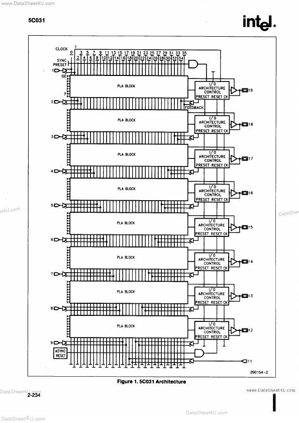 D5C031