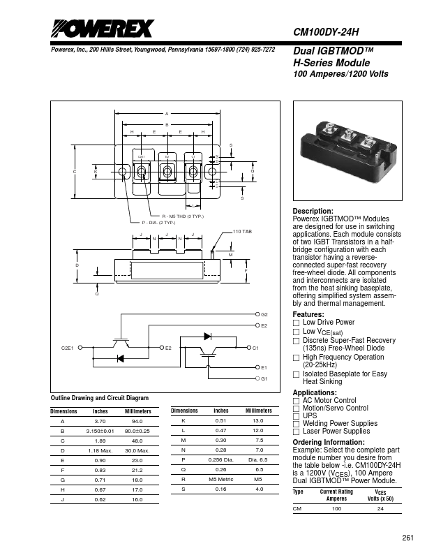 CM100DY-24H