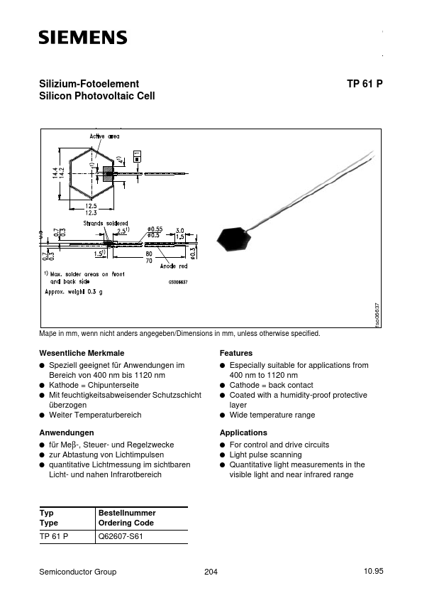 TP61P