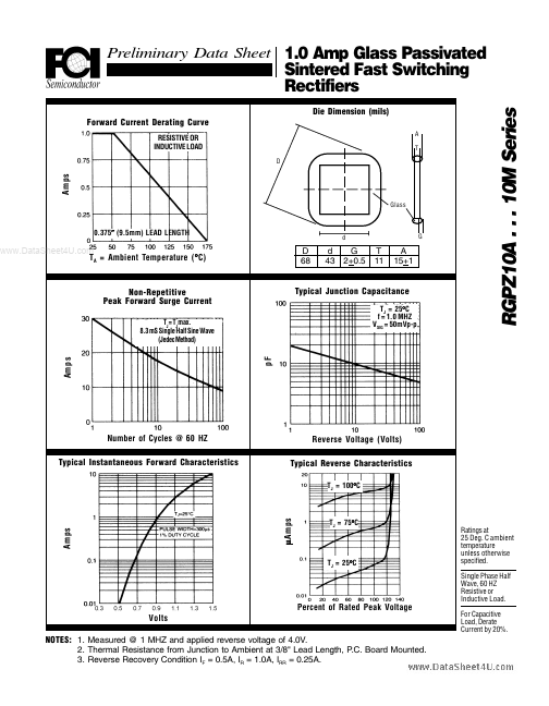 RGPZ10J