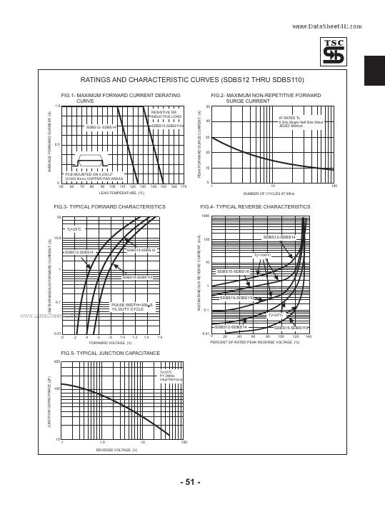 SDBS13