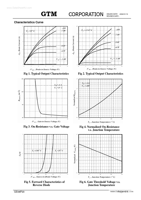 GE08P20