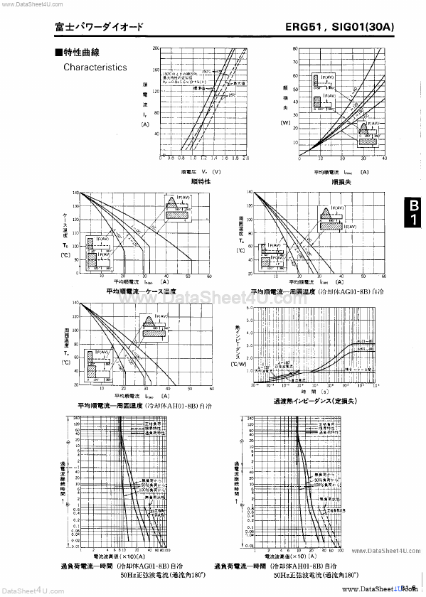 ERG51-09