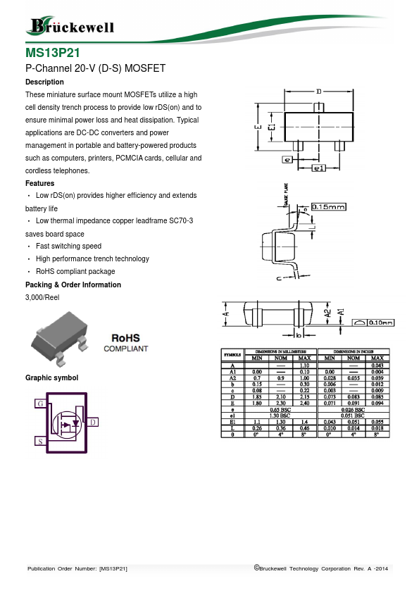 MS13P21