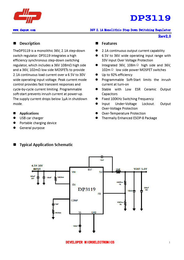 DP3119