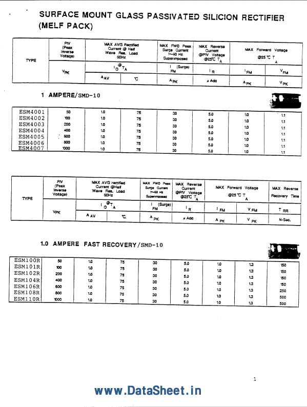 ESM101R