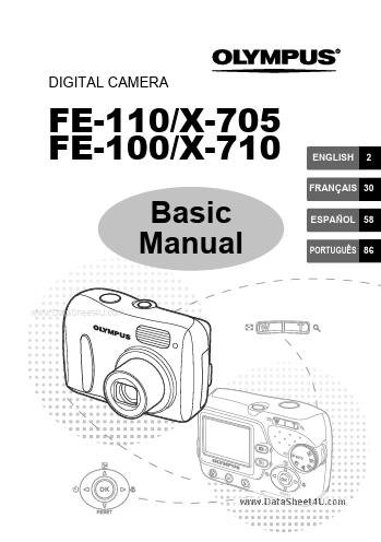 FE-100