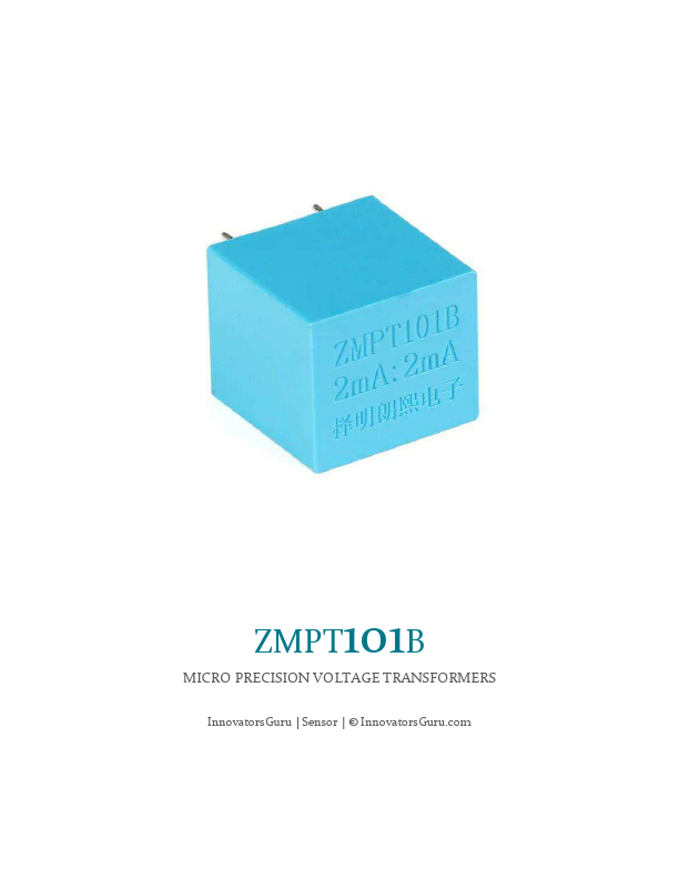 ZMPT101B