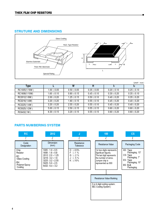 RC1005F100BS